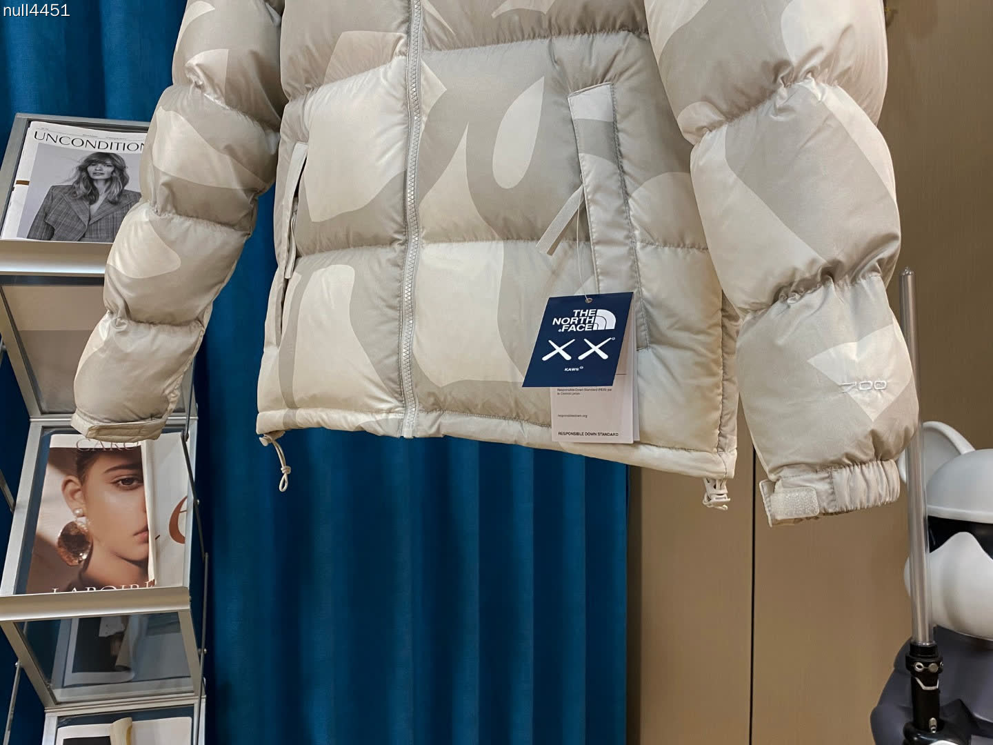 The North Face KAWS Nuptse Jacket The North Face KAWS Nuptse Jacket
